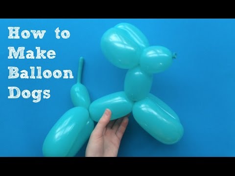 How to Make Balloon Dogs